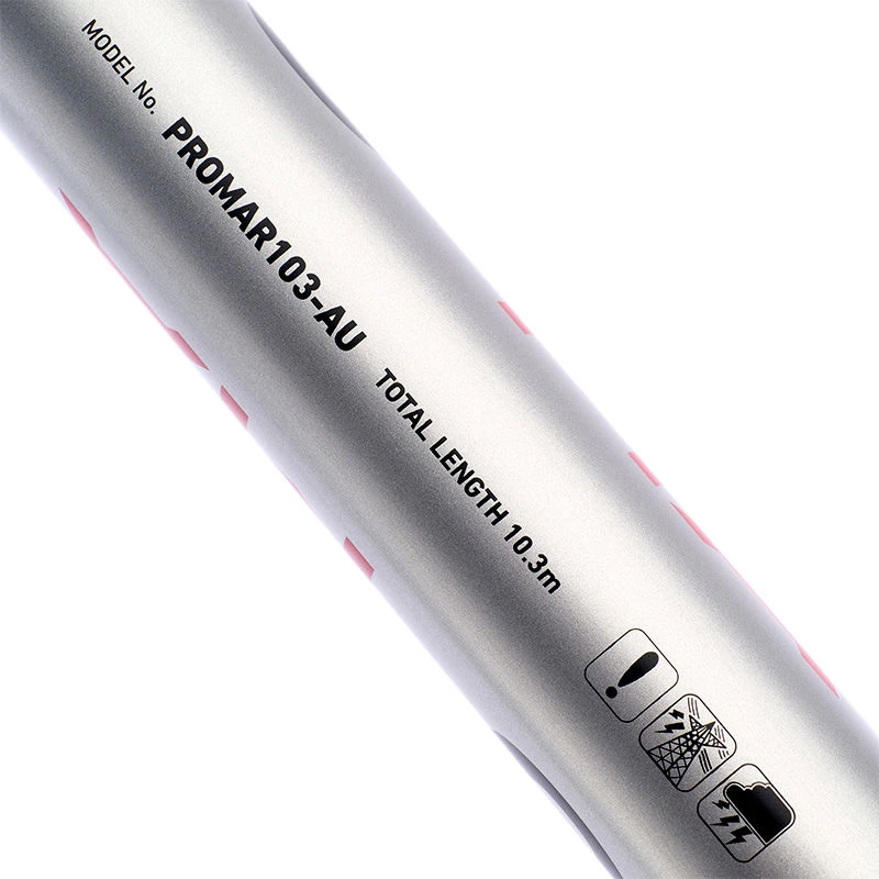 Daiwa Pro Margin 103 Pole 10.3m